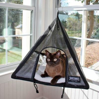Cat Pyramide