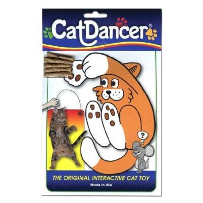 Cat Dancer