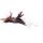 Vee Toys, PURRfect Crunchy Feather