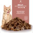 PAWKICK Belly-Kicks Cat 200g – Wohlbefinden liegt im Darm – im Bauch auch!
