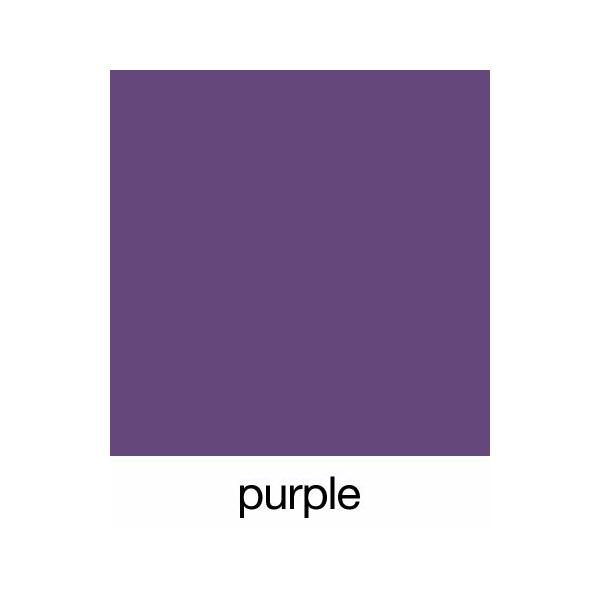 SturdiBag Large Divided Purple