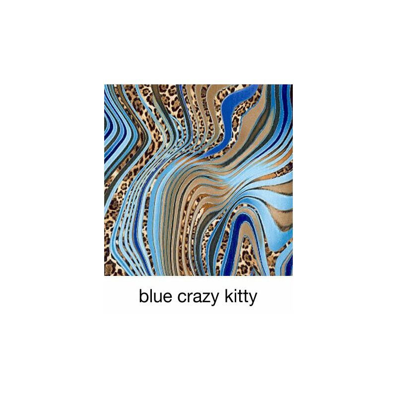 Blue Crasy Kitty