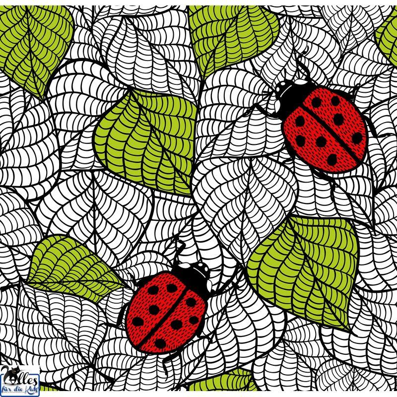 ladyBug Leaves